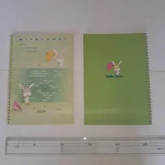 Item thumbnail for item ce1b2d0d-59d2-4143-8572-0127d6a78246