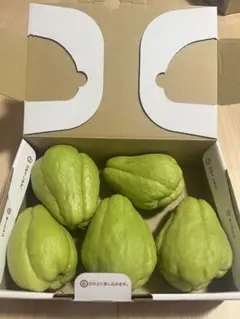 2026年最新】ハヤトウリの人気アイテム - メルカリ