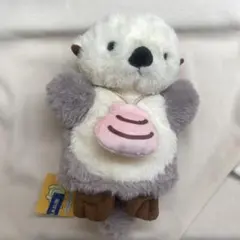新品 お顔厳選! 鳥羽水族館 ラッコ ぽちゃまる ぬいぐるみ - メルカリ