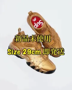 Item thumbnail for item 4d858832-79c7-4a28-aaf7-60e109c22b09