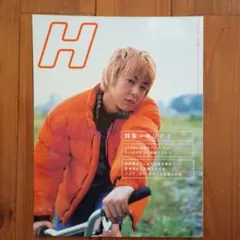 伊藤健太郎&松本穂香JR SKISKI スキークリアファイル A4サイズ - メルカリ
