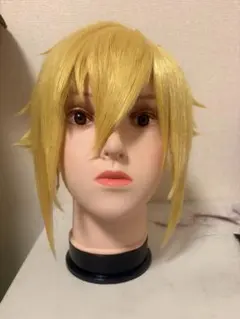 卯月コウ ウィッグ コスプレ にじさんじ - メルカリ