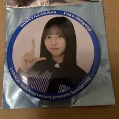 Item thumbnail for item 197d62b1-5b2b-4b9a-9254-9e97ab9af3cd