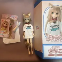 きゃらDo!!きなこ「うちのねこが女の子でかわいい」 1/6 ドール