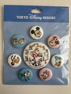 東京ディズニーリゾート ピンバッジ 9個セット　チームディズニー