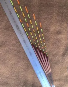 Item thumbnail for item ddac0290-c22a-41b2-a04a-7c88f1d19e8b