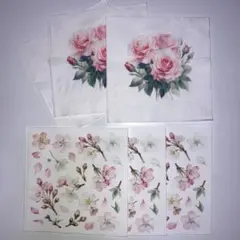 Item thumbnail for item 8ab6db19-7cef-41cc-9da3-0105c028bc83