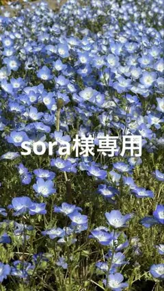 ちいかわ　グッズ　18点