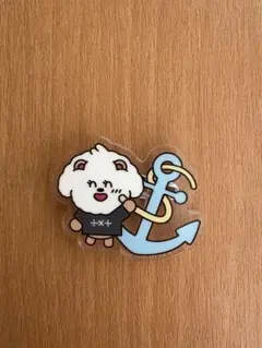 【チューリップ様専用】TXT プルバトゥアクリルバッジ ご当地 神奈川 バムグッ