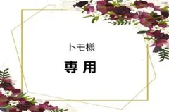 トモ様専用　クリスマスローズ　種子