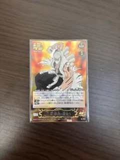 BLEACH ソウルカードバトル 日番谷冬獅郎＆松本乱菊 S-215 UR - メルカリ