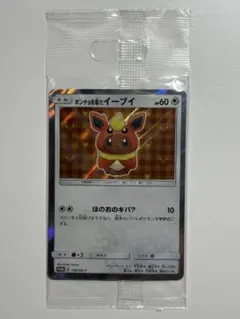 極美品 ポンチョを着たイーブイ（ブースター） プロモカード 完全PSA向け