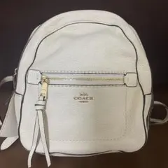 Item thumbnail for item cdc5d061-68de-440a-8880-d9cdf8596675