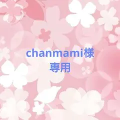 chanmami様専用