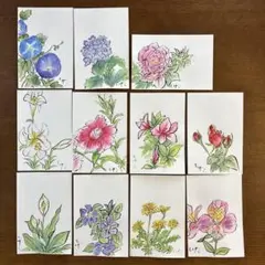 花の顔彩画オリジナル絵手紙11枚セット