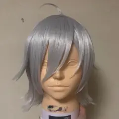 【即発送可】ツイステ　シルバー　コスプレ　ウィッグ　Dハロ 即発送可】ツイステ シルバー コスプレ ウィッグ Dハロ 60％OFF