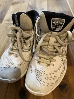 【アシックス】24.0バッシュ　ゲルフープv14エクストラワイド 幅広