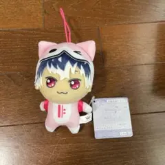 アイナナ 太鼓の達人 きらどるぬいぐるみ ドンぬい Re:vale 百