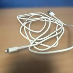 Apple Lightningケーブル USBホワイト2m