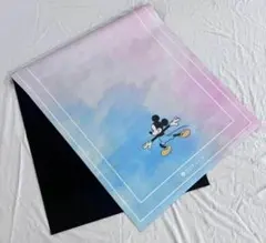 2025年最新】sukara トラベルヨガマットの人気アイテム - メルカリ