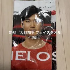 Item thumbnail for item 63bb6756-9c86-4184-8a85-74d496faa7f0