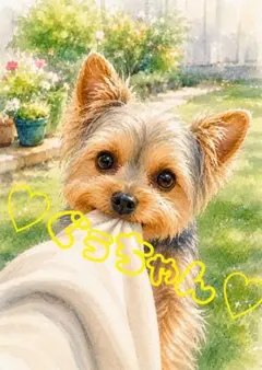 《一点限り》ヨークシャーテリア 甘える 犬 水彩画