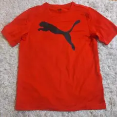 【PUMA 】Tシャツ/レッド Sサイズ