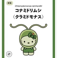 藻キティ キャラクターグッズ