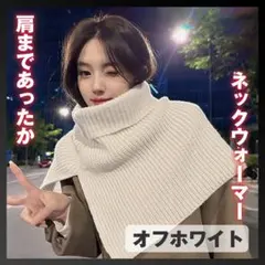 2025年最新】ネックウォーマー・スヌードの人気アイテム - メルカリ