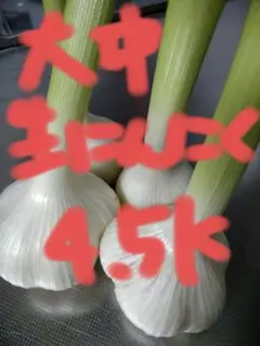 農薬不使用 大中 生ニンニク 3kg - メルカリ