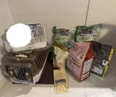 Item thumbnail for item 81990eab-6f1e-470a-abb7-29d7424780e1