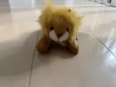 2026年最新】プジョー ライオンの人気アイテム - メルカリ