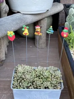 ガーデン雑貨 ガーデニング