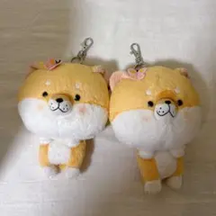 Item thumbnail for item 684c53db-3d27-4e7b-85ea-6e41179d00b4