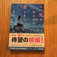 あの星が降る丘で、君とまた出会いたい。 汐見夏衛