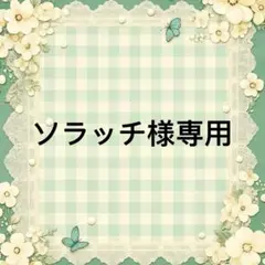 ソラッチ 様　專用