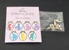 ディズニーストア シークレットチャーム ラプンツェル