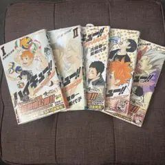 ハイキュー　ショーセツバン