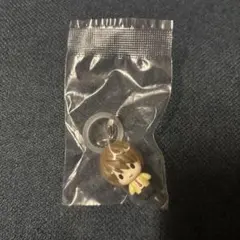 デスノート　めじるしアクセサリー　夜神月