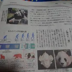 Item thumbnail for item 995aeb2a-fa0d-4367-9ac4-9b30bf7b173f