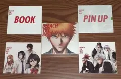 BLEACH THE BEST CD DVD BOOK PIN UPセット