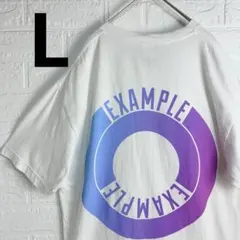 【バックプリント】 EXAMPLE ロゴ Tシャツ デカロゴ ストリートのサムネイル