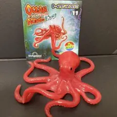 オーシャンアタックアンドコビッグ ミズダコ