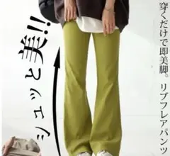 アンティカ　シュッと美シリーズ　リブパンツ　ピスタチオ
