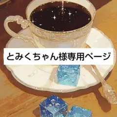 とみくちゃん様専用ページ☆