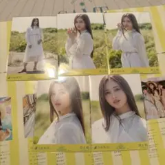 乃木坂46 井上和 Same numbers 5種コンプ③