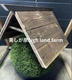 2026年最新】杉玉の人気アイテム - メルカリ