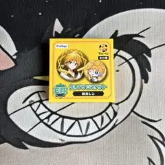 鏡音レン ぬーどるストッパーくじ 缶バッジ