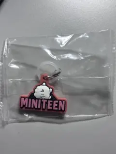 SEVENTEEN MINITEENぷっくりめじるしアクセサリー ビョプリ ウジ