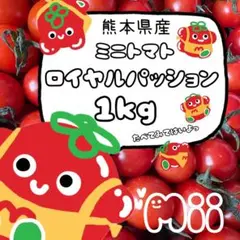 ★真っ赤なパッション★ 熊本県産 ミニトマト1kg